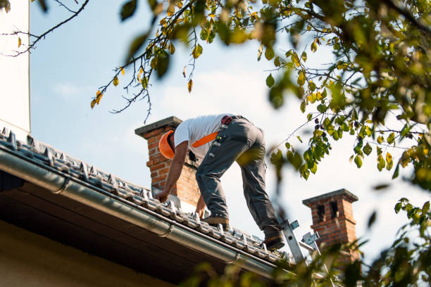 Best Gutter Installation and Repair  in Marion, MT